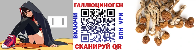 Галлюциногенные грибы ЛСД  купить закладку  Пикалёво 